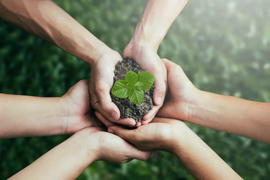 Sustainable Farming Solutions